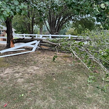 Tree-Debris-Removal-Storm-Cleanup-in-Oxford-MS 2